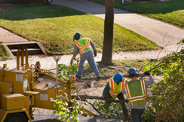 Soil Testing and Treatment in Vilonia, AR